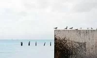 享受游戏